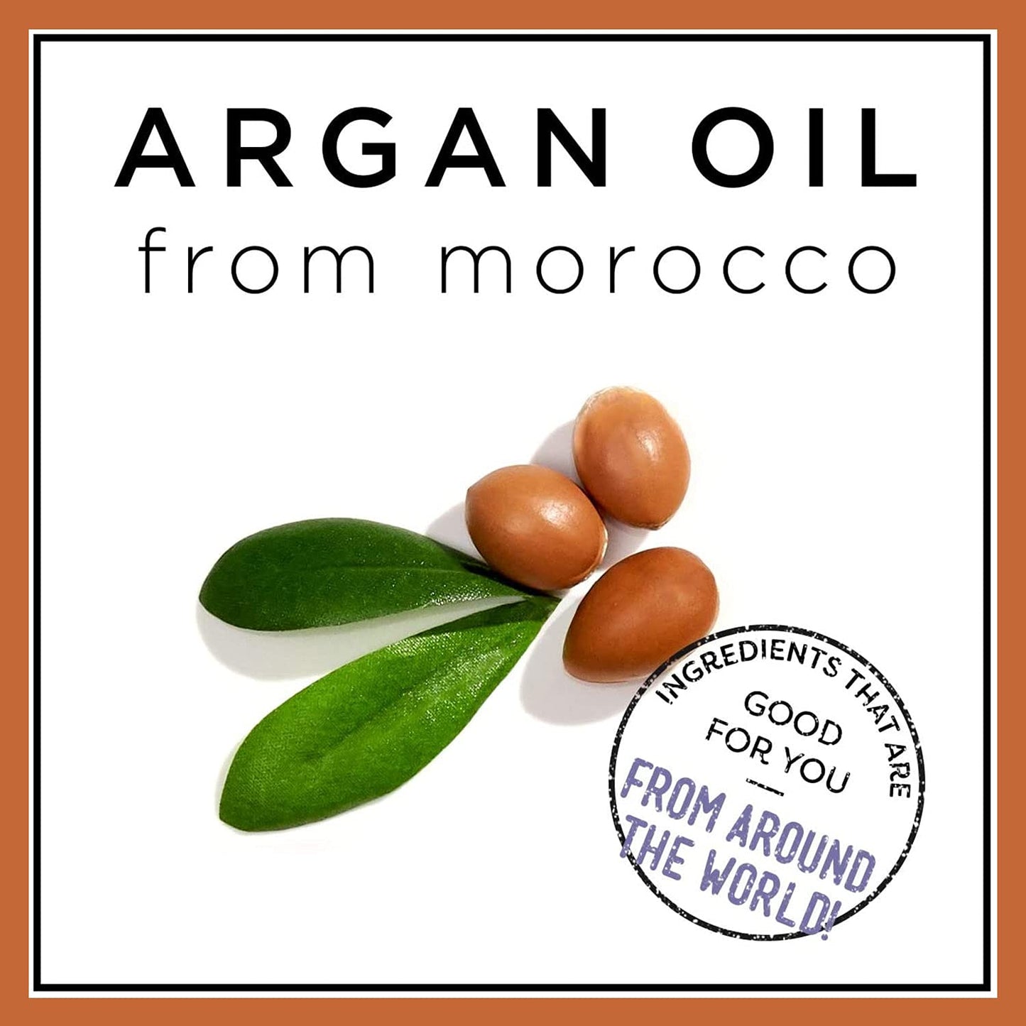 VoilaVe Argan Conditioner - Sulfate & Paraben Free Conditioner - 235ml, 8 fl oz